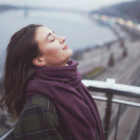 Melodic Wings of Relaxation: Birdsong Chill Melodies for Calmness