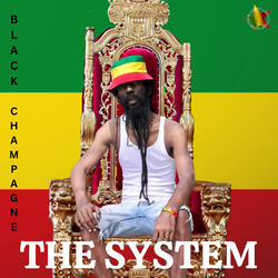 The System