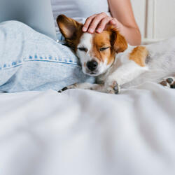 Calming Jazz Tones for Restful Naps