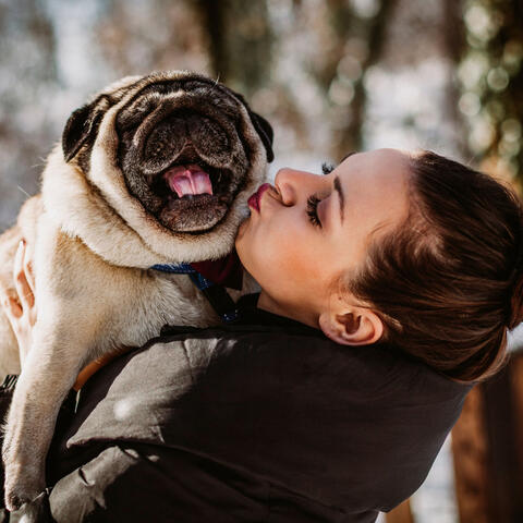 White Noise Paws: Nature's Melodies and Chill Sound for Happy Pets