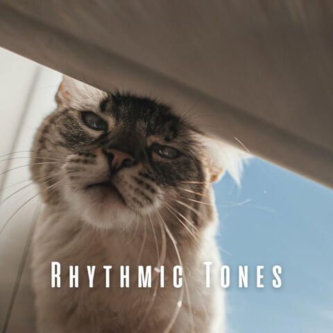 Rhythmic Tones: Music for Blissful Cats