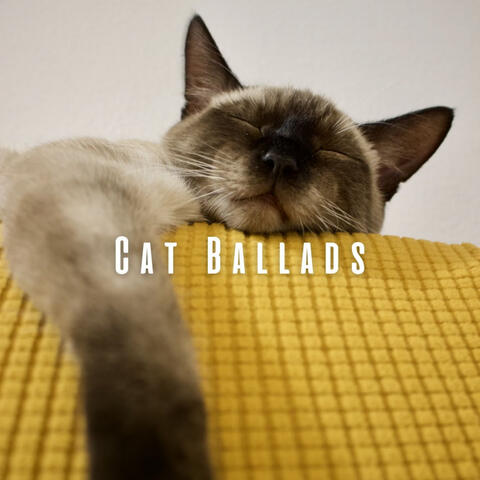 Cat Ballads: Music for Soulful Meows