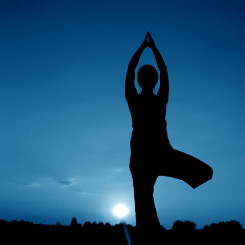 Moonlit Asanas: Owl's Yoga Serenades ASMR