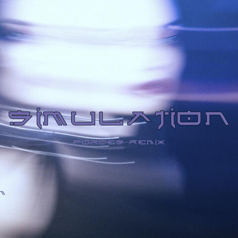 Simulation