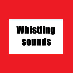 The sound of a whistle 3