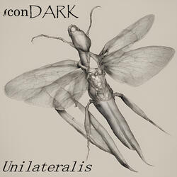 Unilateralis