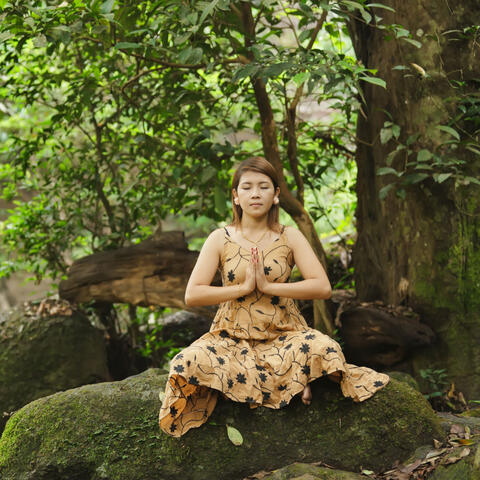 Zenith of Binaural Serenity: Nature's Melodic Gateway to Deep Meditation