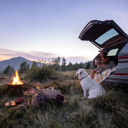 Companion's Rest by the Fireside