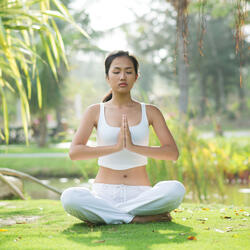 Dawn Chirps Harmonize Serenity