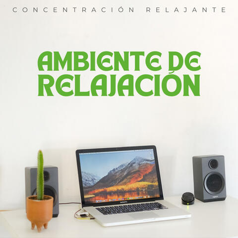 Ambiente De Relajación: Concentración Relajante