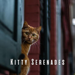 Whisker Tunes in Harmony