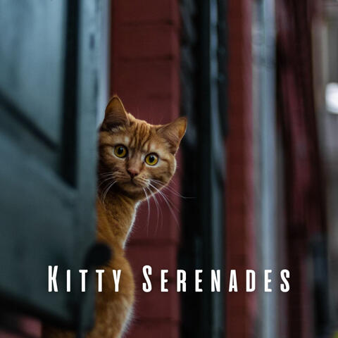 Kitty Serenades: Ambient Music for Relaxed Cats