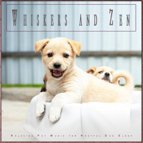 Whiskers and Zen: Relaxing Pet Music for Restful Dog Sleep