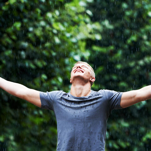 Rhythmic Rainfall in Tranquil Moments