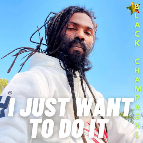 I Just Want To Do It