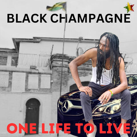 One Life To Live