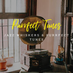 Melodic Jazz Whisker Melodies