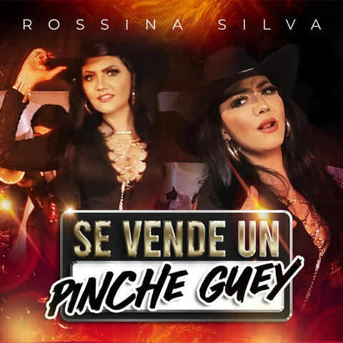 Se Vende Un Pinche Guey