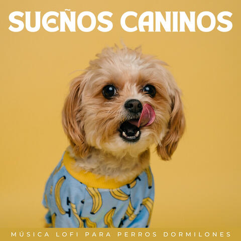 Sueños Caninos: Música Lofi Para Perros Dormilones