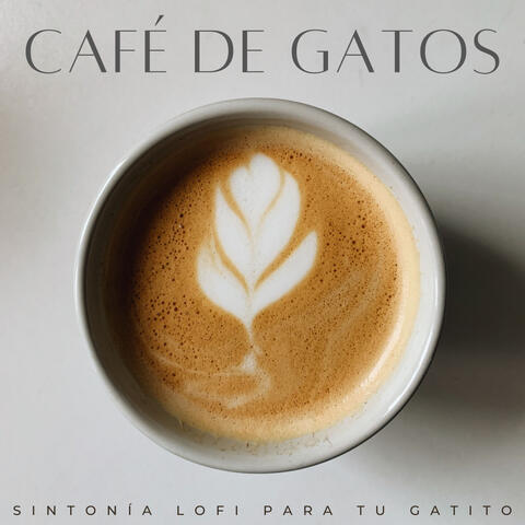 Café De Gatos: Sintonía Lofi Para Tu Gatito