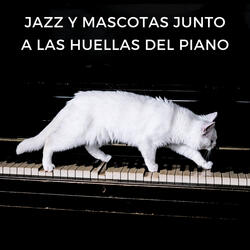 Vals Y Bigotes De Maravilla
