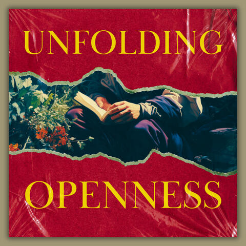 Unfolding Openness
