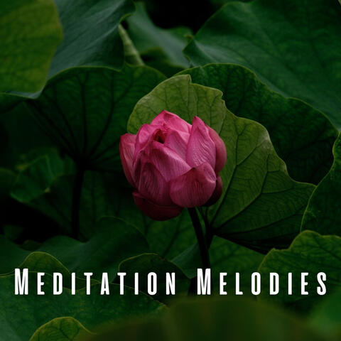 Meditation Melodies: Piano Serenades for Stillness