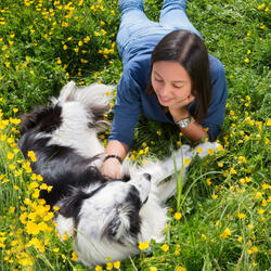 Jazz Coffee Shop Paws