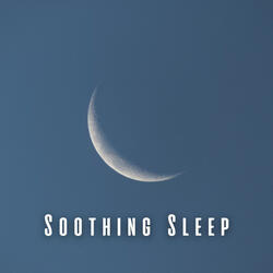 Dreamy Nighttime Harmony