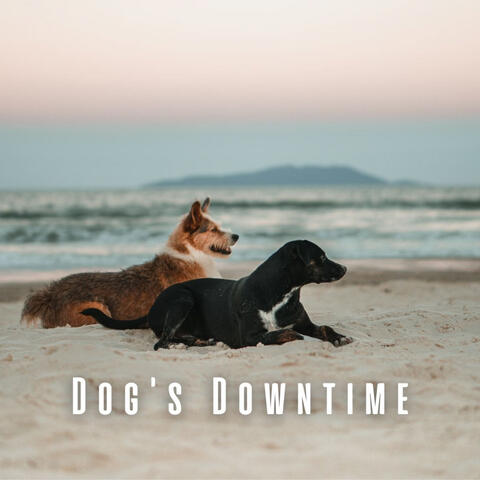 Dog's Downtime: Chill Music for Lazy Afternoons