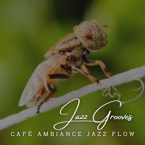 Jazz Grooves: Productive Lounge Vibes