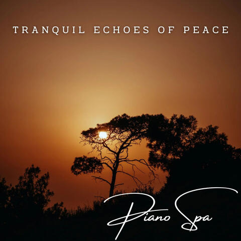 Harmonic Tranquility: Meditative Piano Spa Retreat