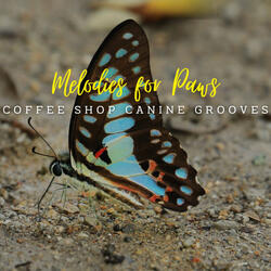 Coffee Shop Canine Grooves