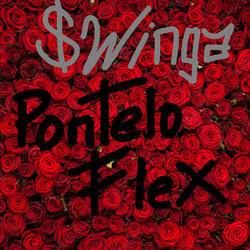Pontelo Flex