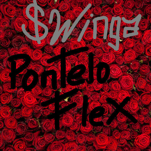Pontelo Flex