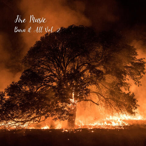 Fire Music: Burn it All Vol. 2