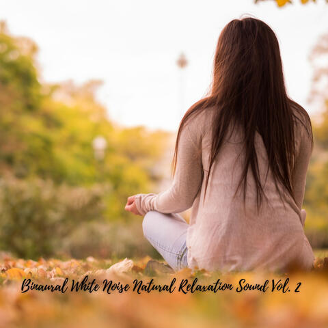 Binaural White Noise Natural Relaxation Sound Vol. 2