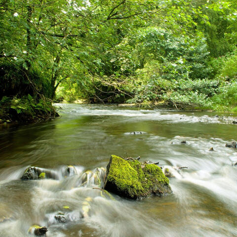 Flowing Currents: Ethereal Stream Serenades