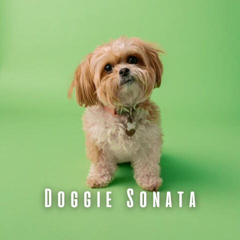 Doggie Sonata: Piano Serenades for Canines