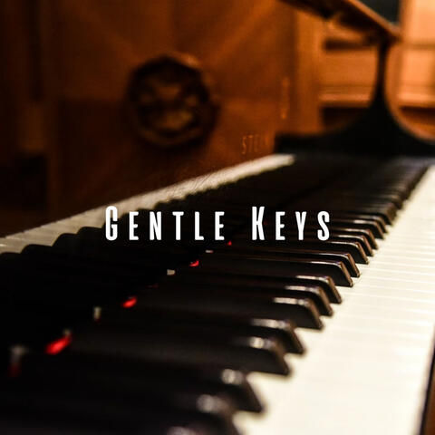 Gentle Keys: Piano Magic for Babies