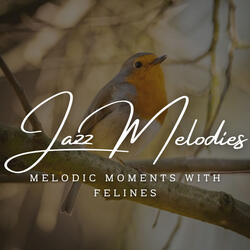 Melodic Moments with Felines