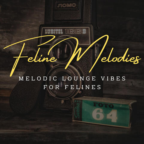 Feline Melodies: Coffee Lounge Jazz for Curious Cats
