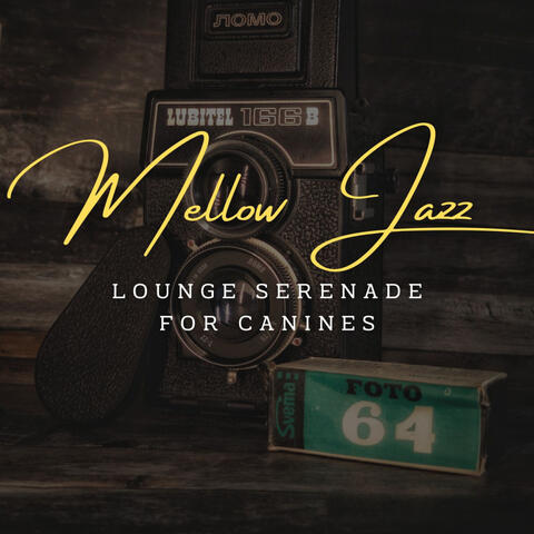 Calming Instrumental