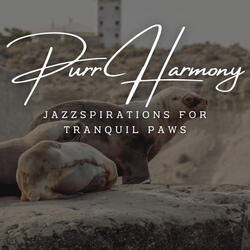 Feline Serenity in Jazz