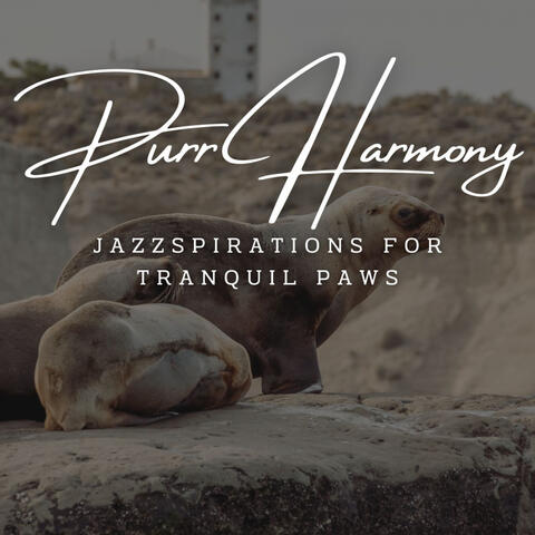 Paws and Jazz Serenity: Coffee Lounge Whiskers