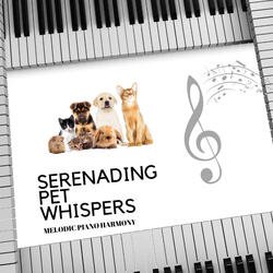 Piano's Melodic Whispers: Serenading Pet Connections