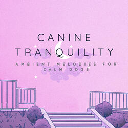 Guided Ambient Dog's Journey