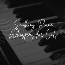 Piano Serenading Cats: Celestial Whispers of Curiosity