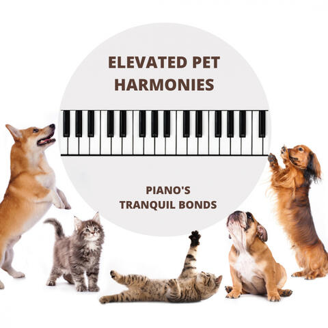 Elevated Pet Harmonies: Piano's Tranquil Bonds