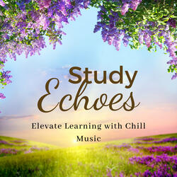 Chill Music for Learning Enrichment